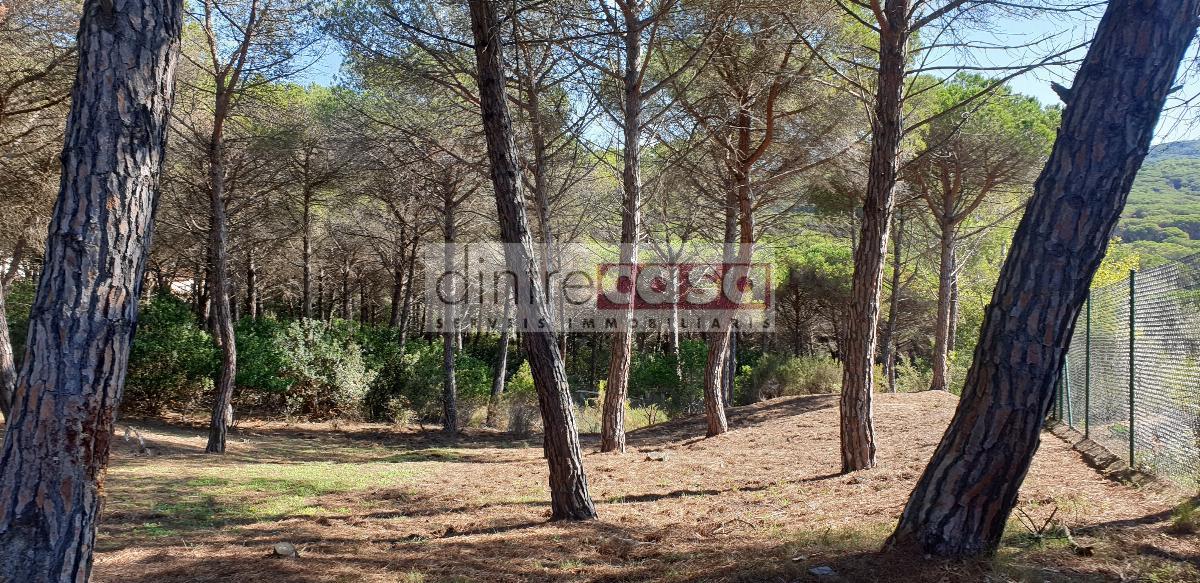 For sale of land in Tordera