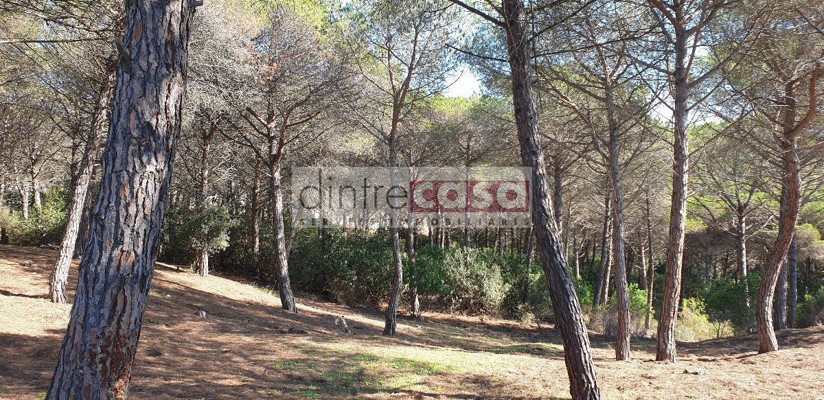For sale of land in Tordera