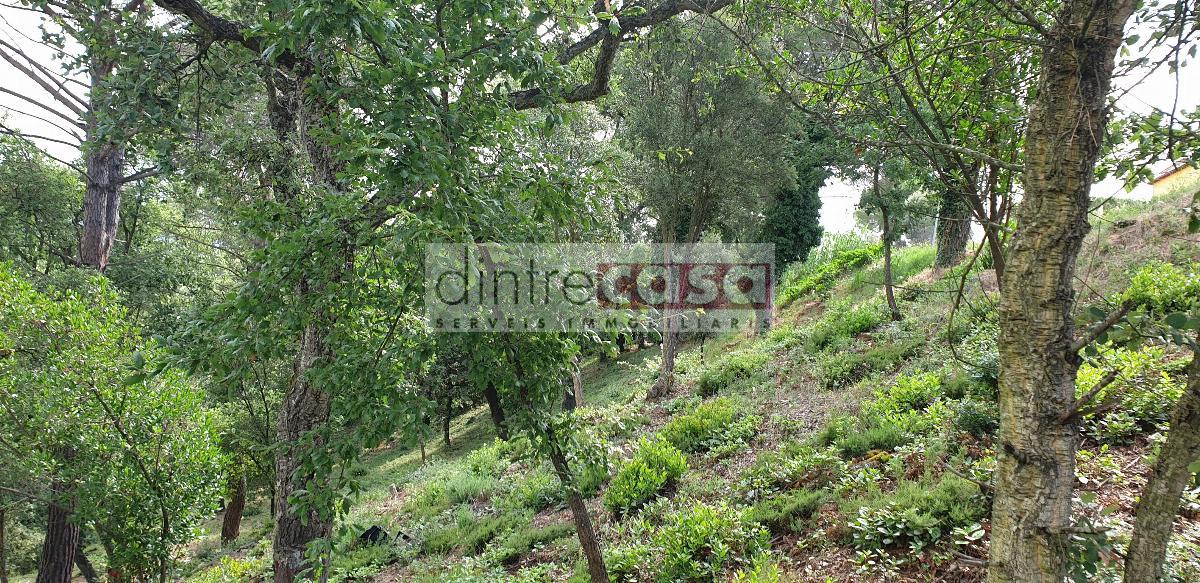 Venta de terreno en Tordera