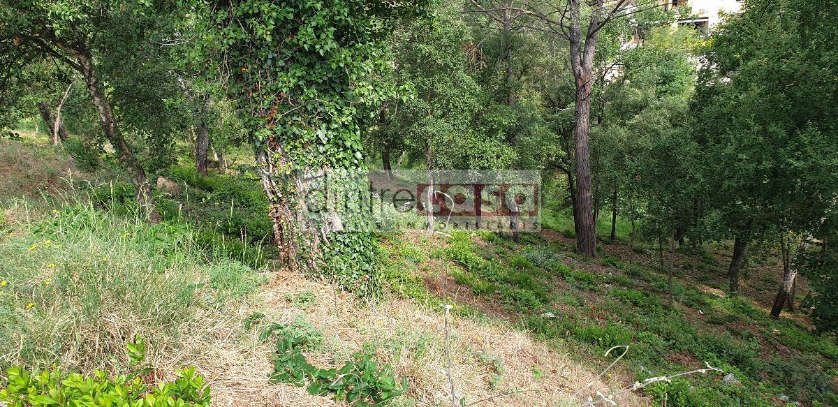 Venta de terreno en Tordera