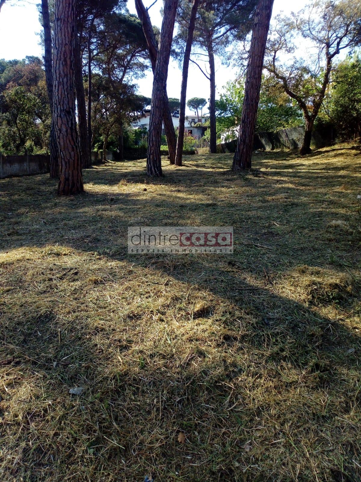 For sale of land in Maçanet de la Selva