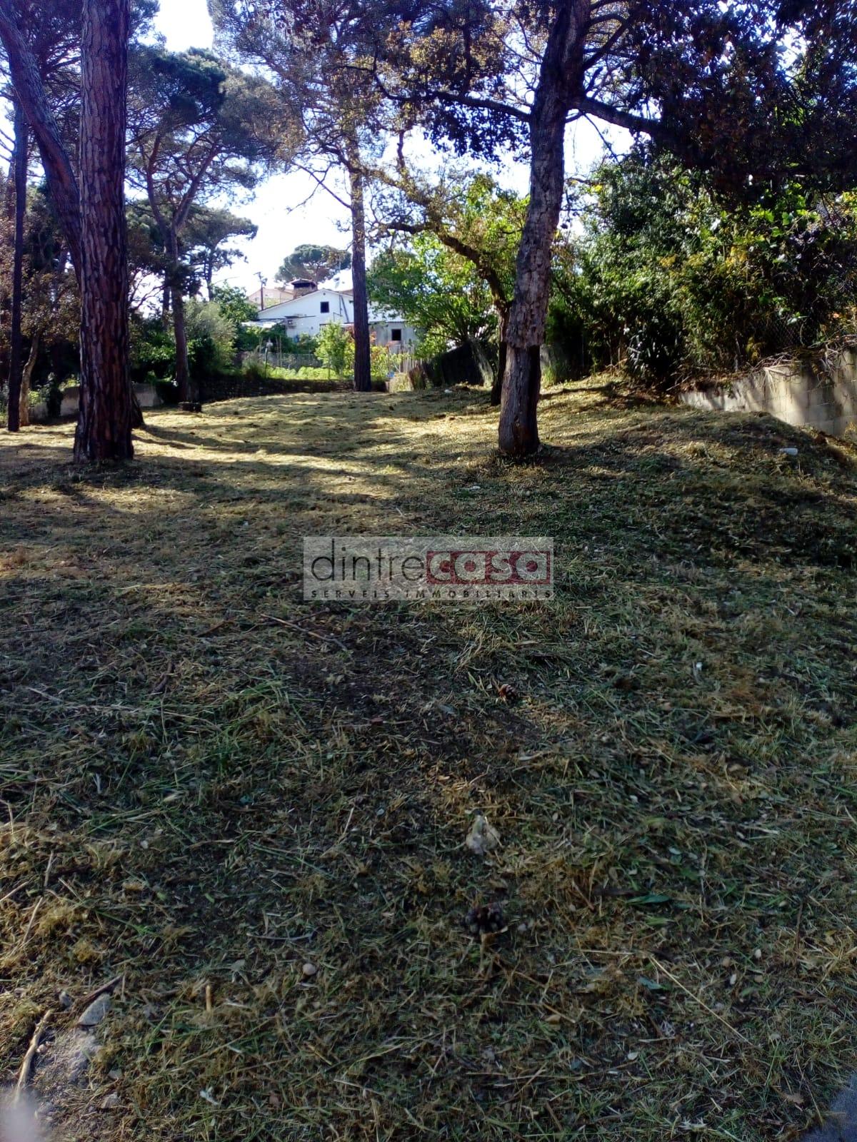For sale of land in Maçanet de la Selva