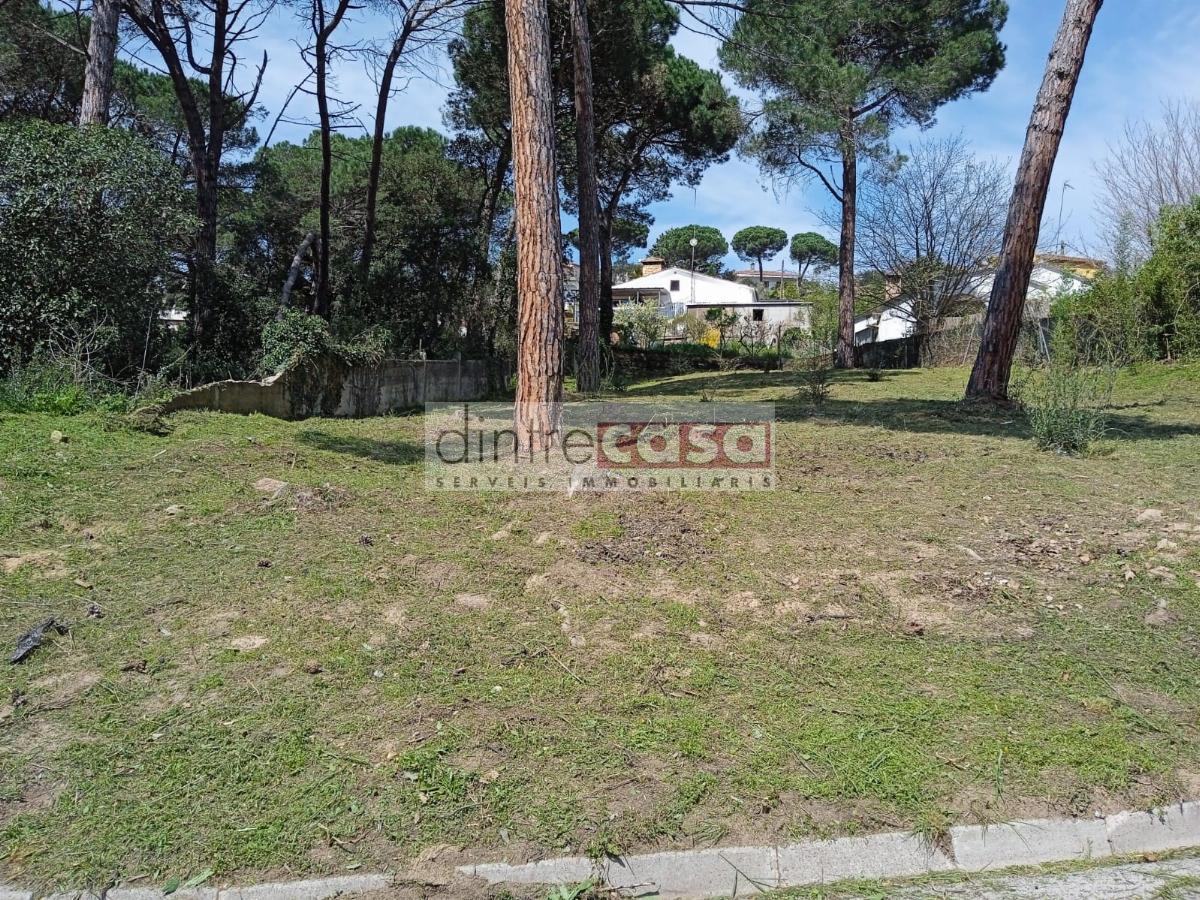 For sale of land in Maçanet de la Selva