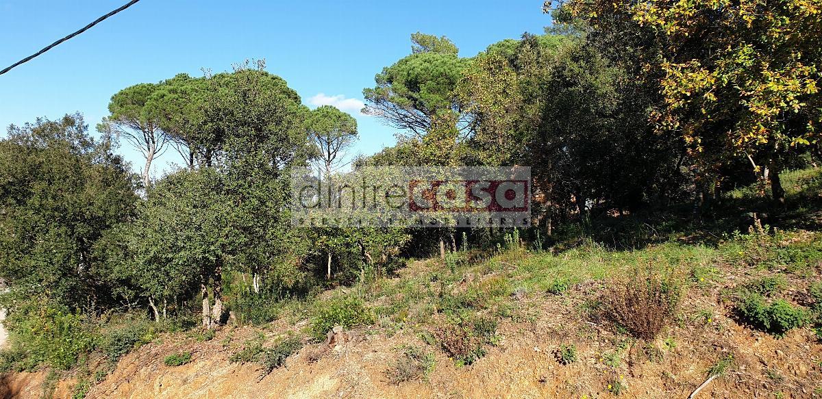 For sale of land in Tordera