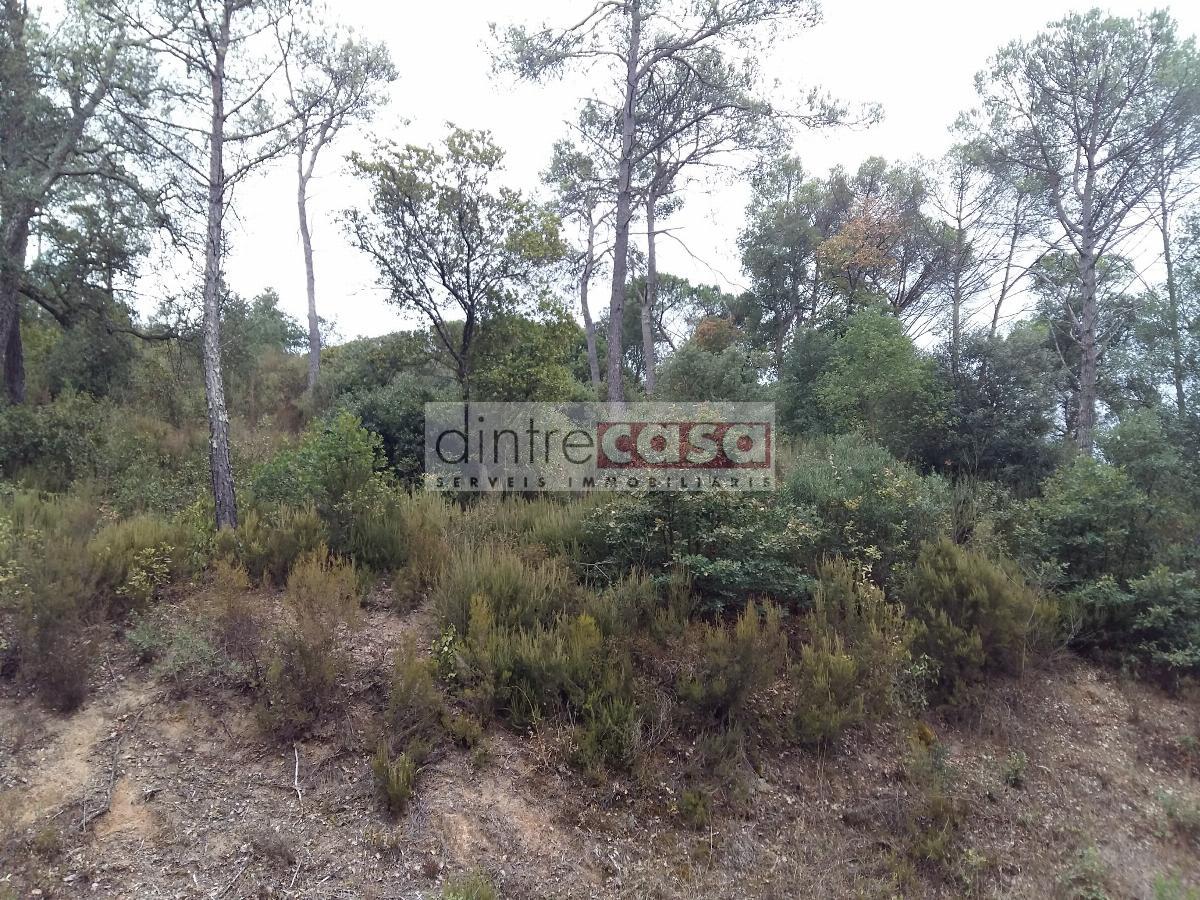 For sale of land in Tordera