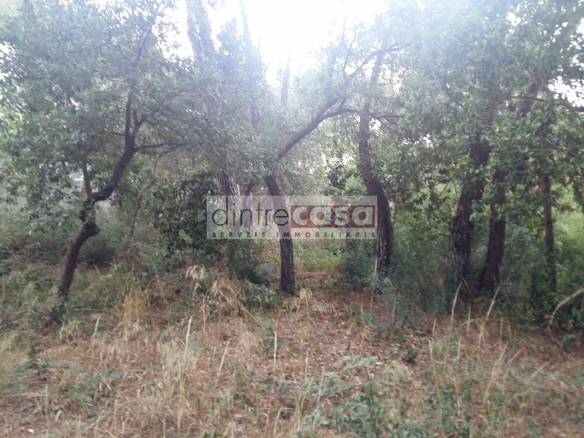 For sale of land in Fogars de la Selva