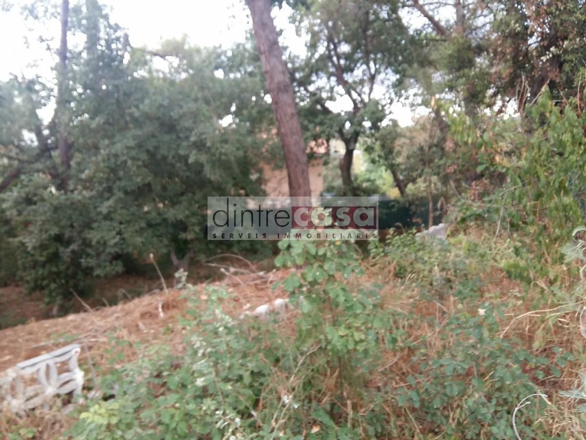 For sale of land in Fogars de la Selva