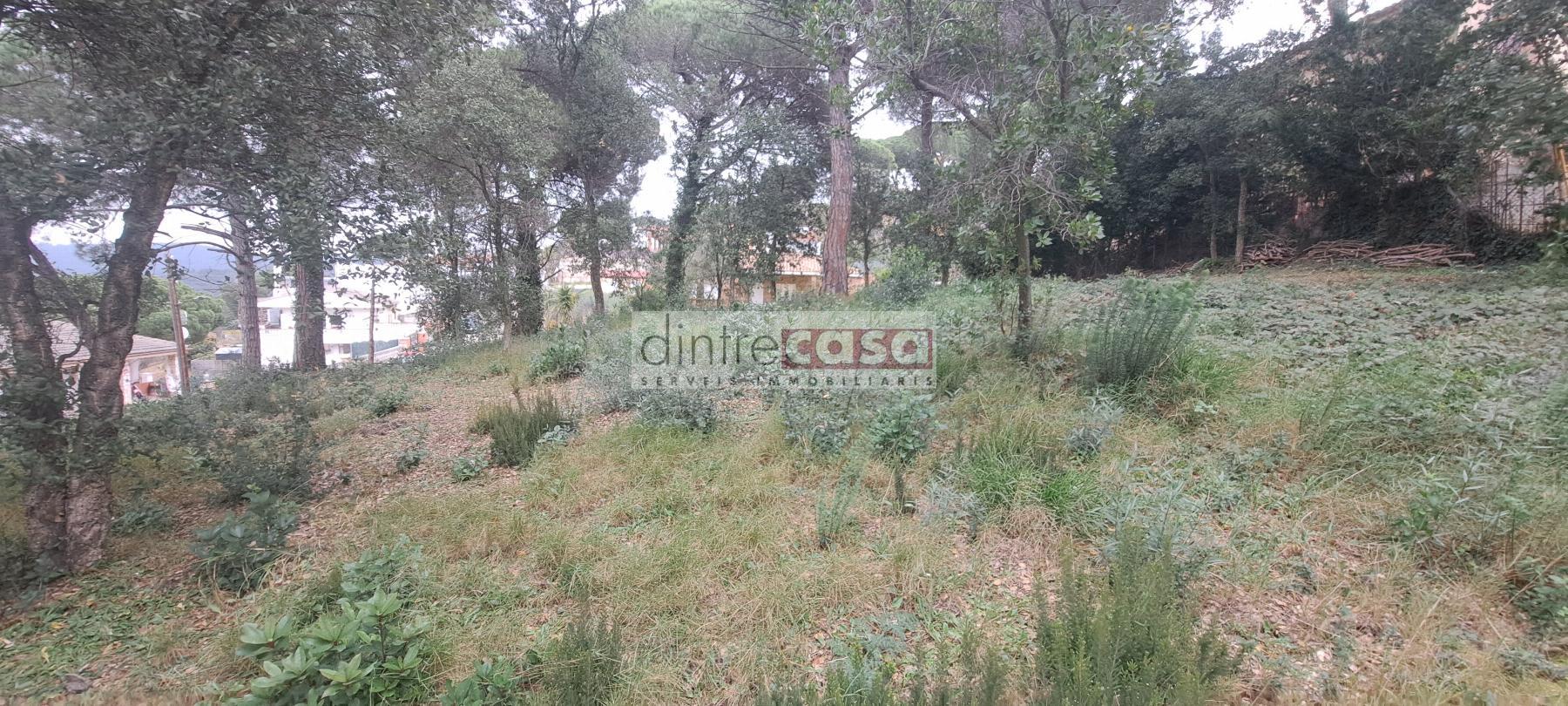 Venta de terreno en Tordera