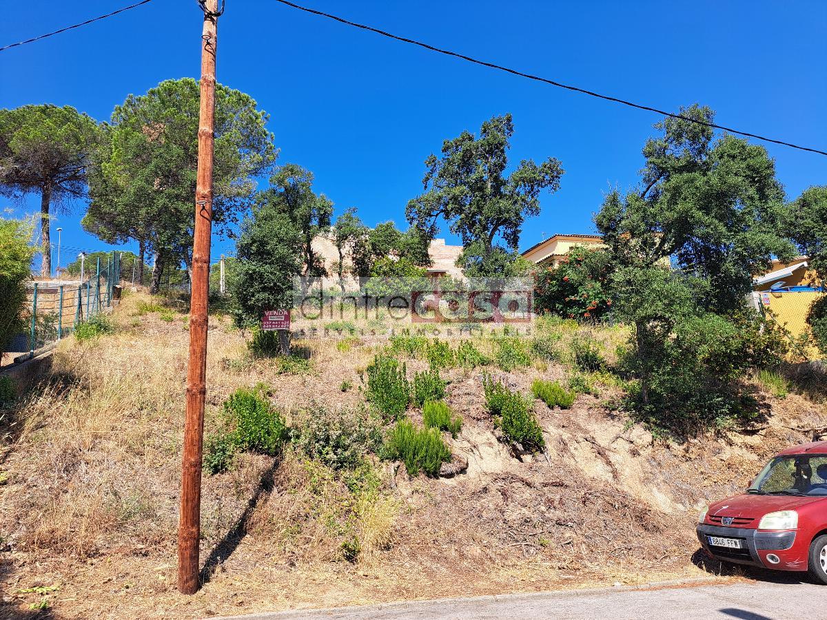 For sale of land in Palafolls