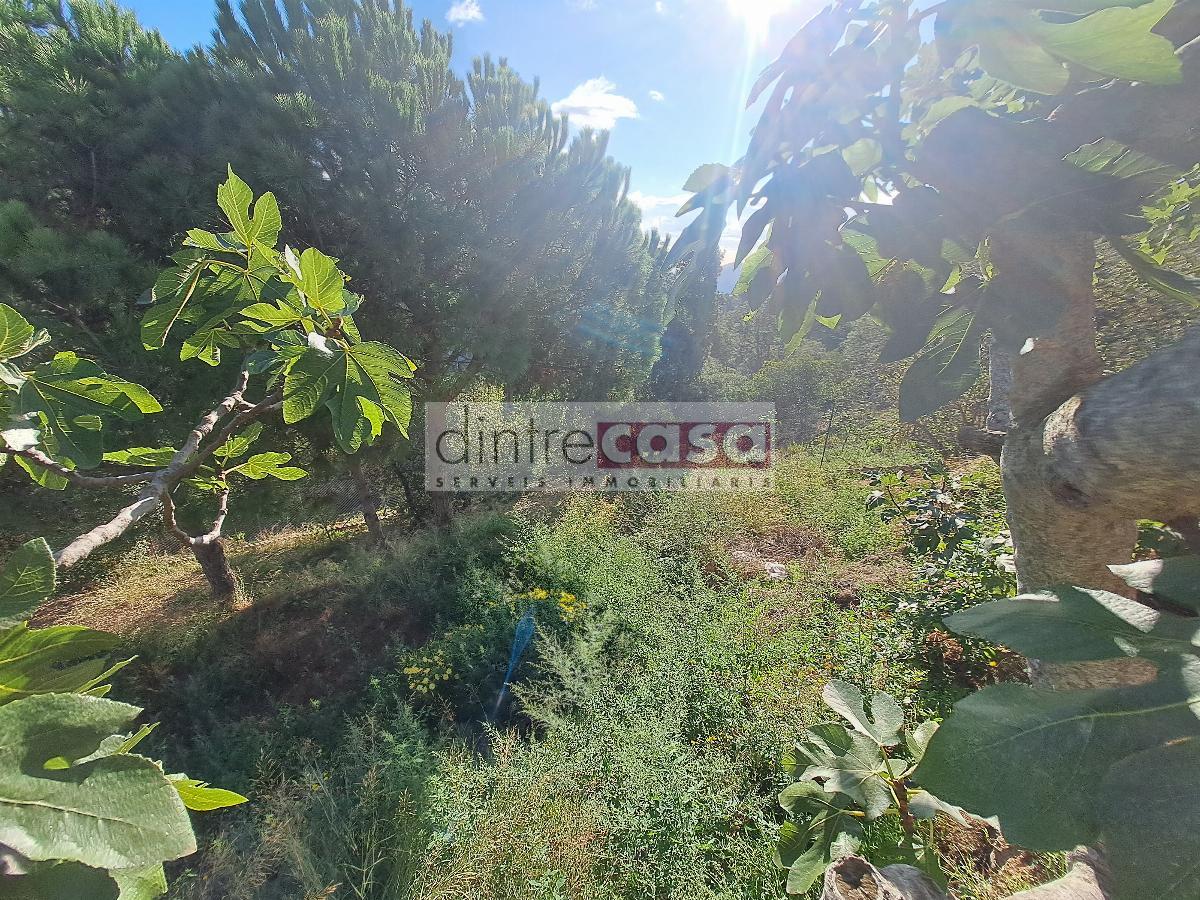 For sale of house in Tordera