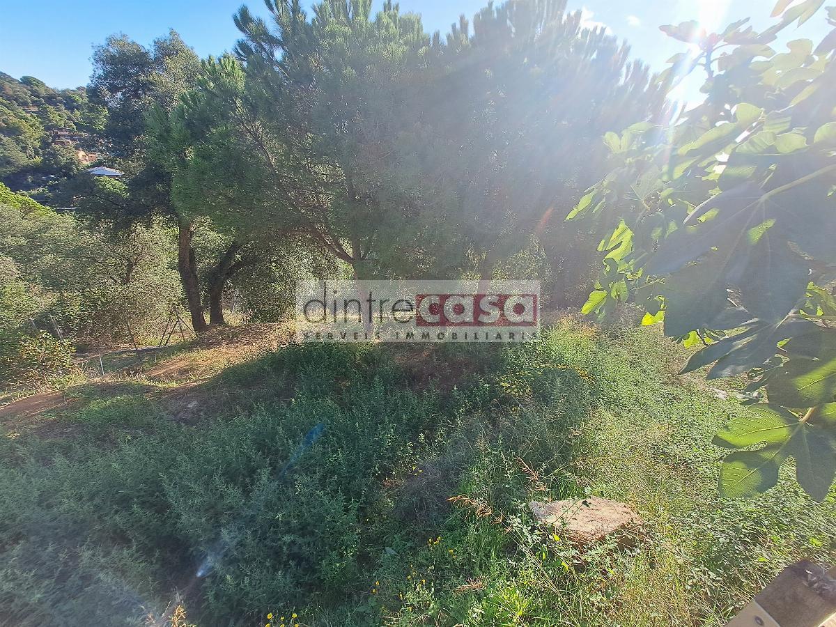 For sale of house in Tordera
