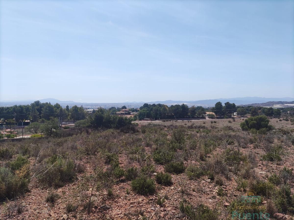 For sale of land in Totana