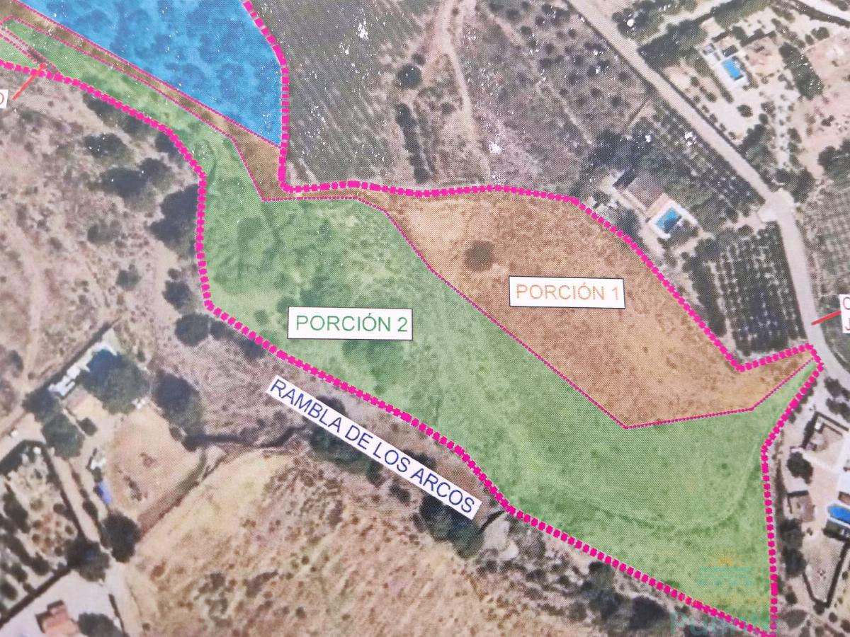 For sale of land in Totana