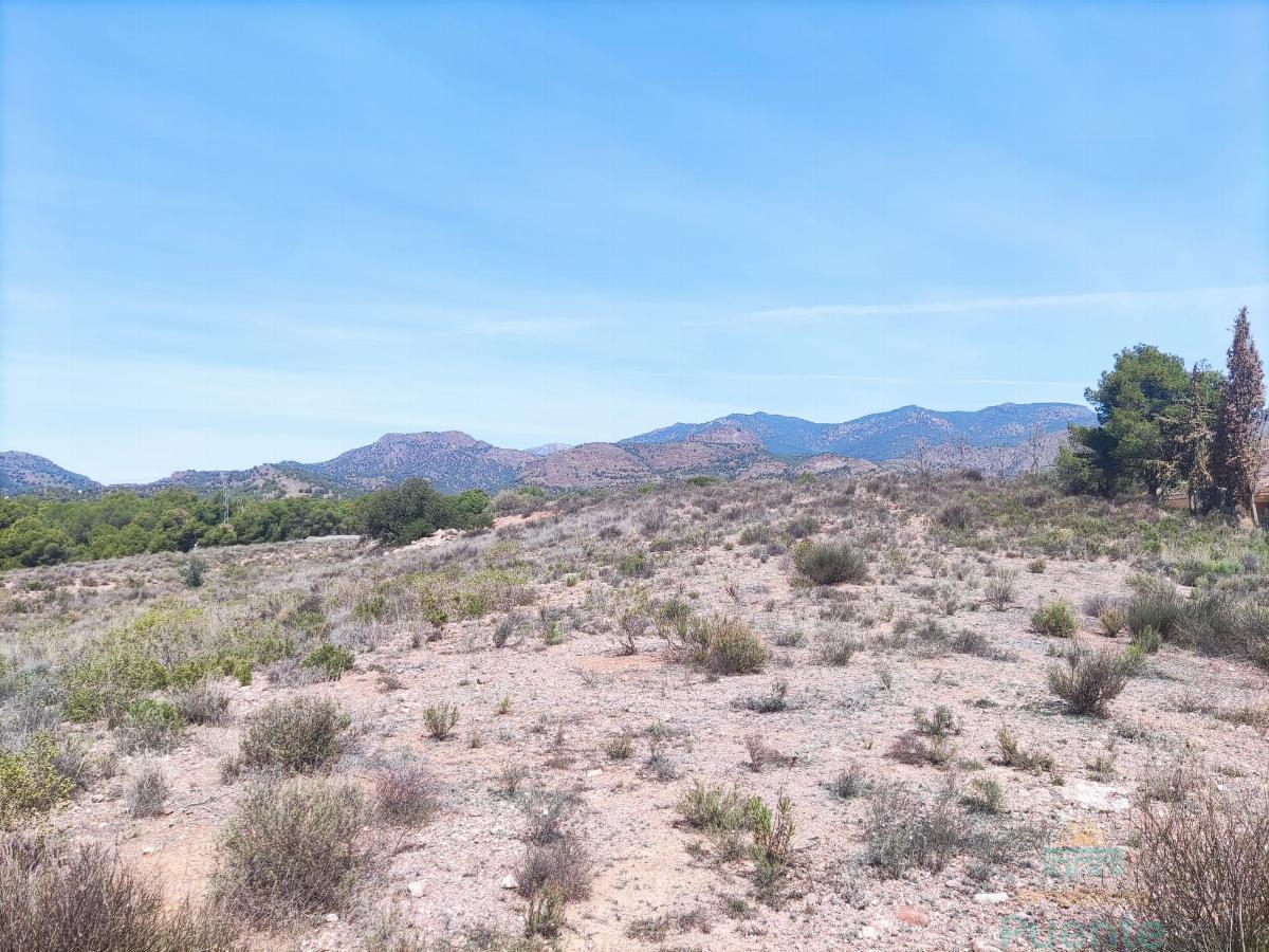 For sale of land in Totana