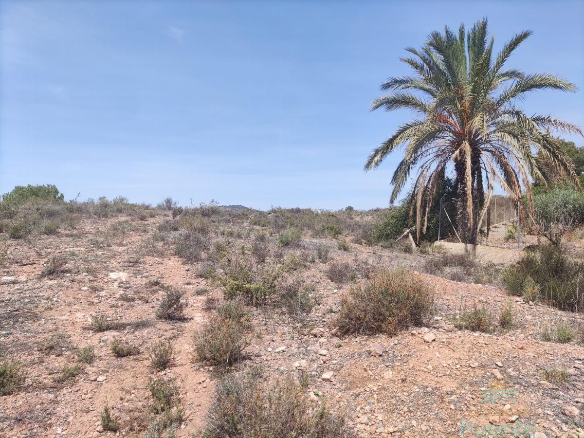 For sale of land in Totana