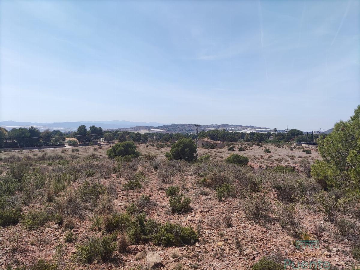 For sale of land in Totana