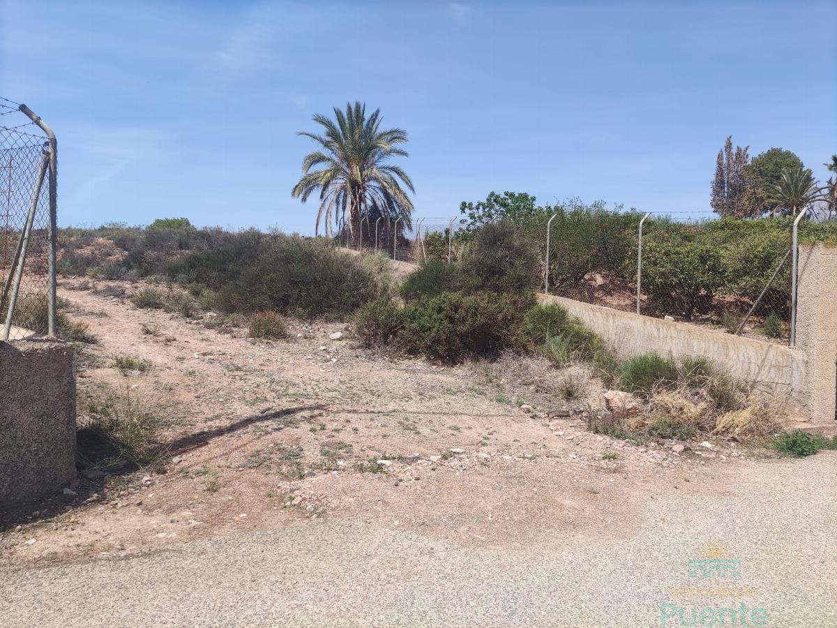 For sale of land in Totana