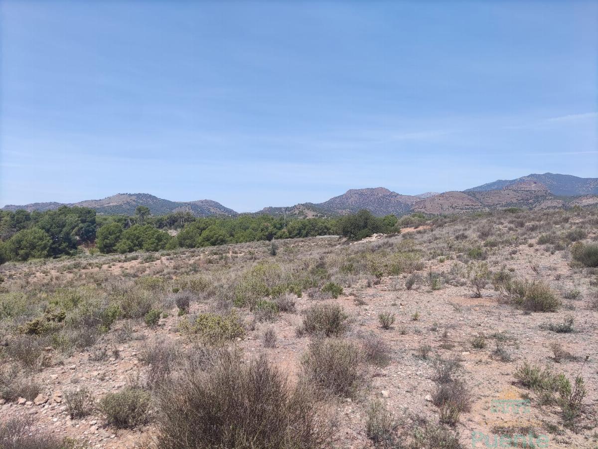 For sale of land in Totana
