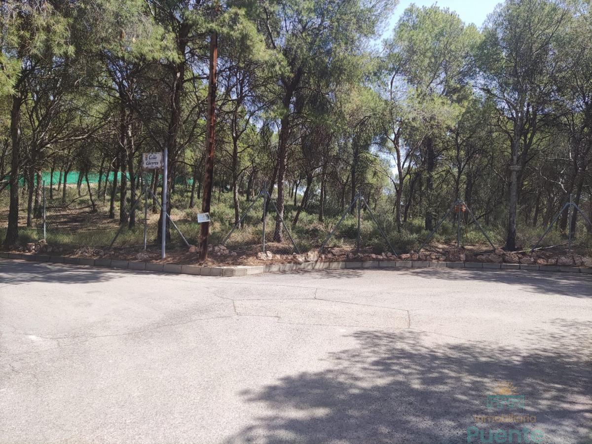 For sale of land in Totana