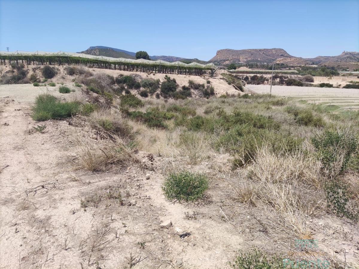 Venta de terreno en Totana