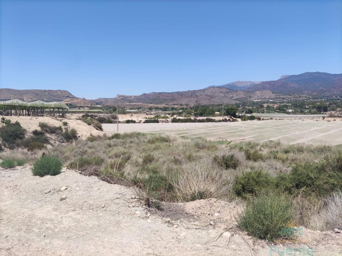 Venta de terreno en Totana