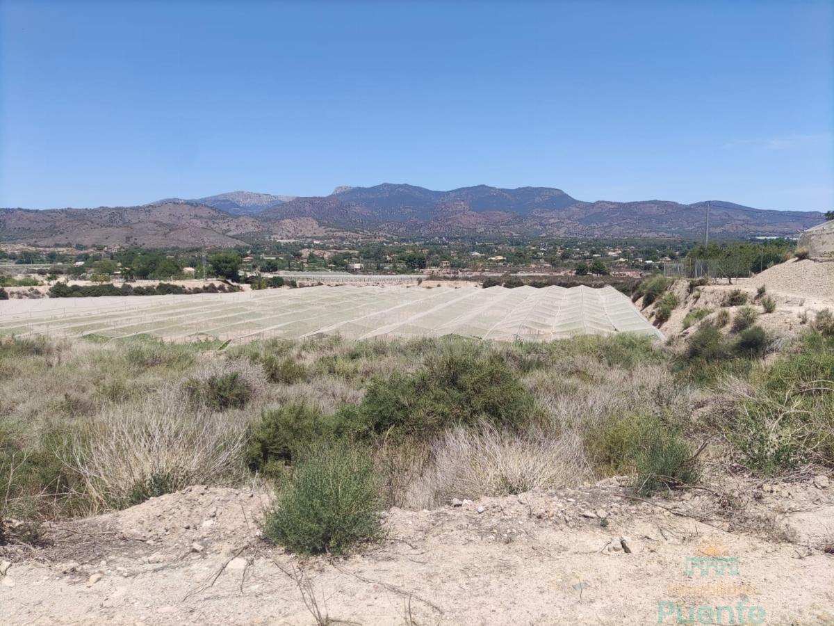 For sale of land in Totana