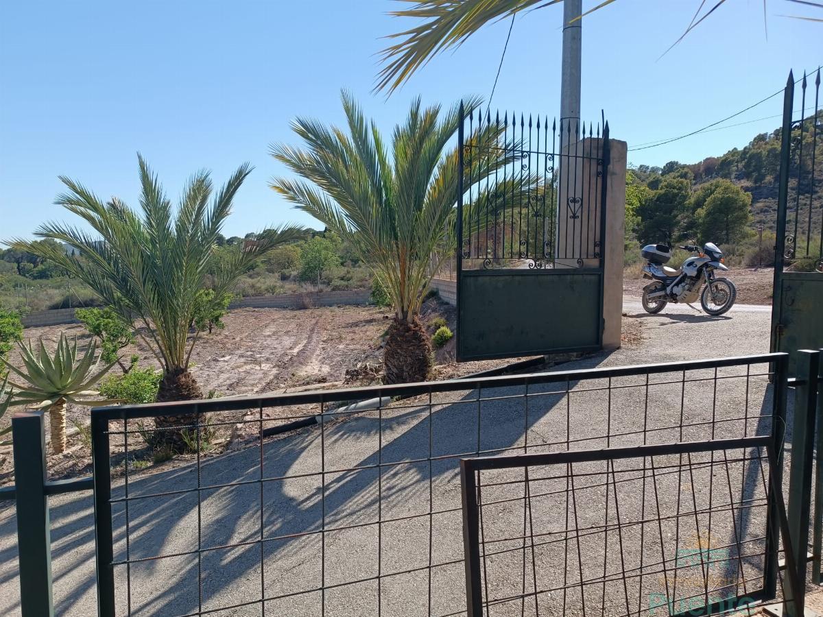 Entrada/Salida