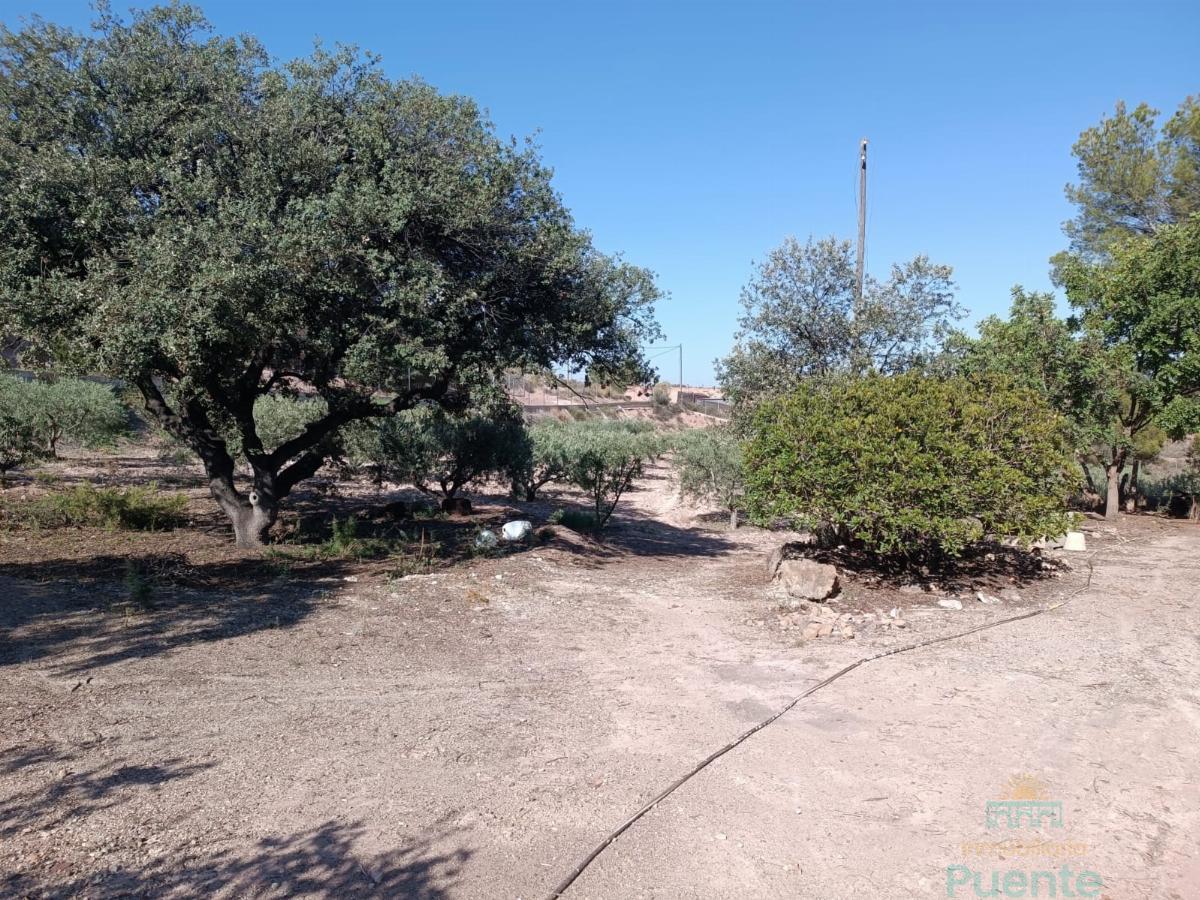 Jardín