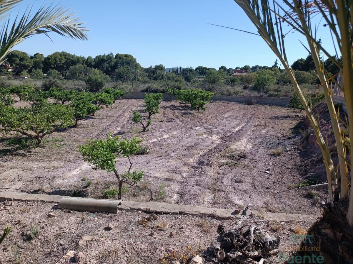 Jardín