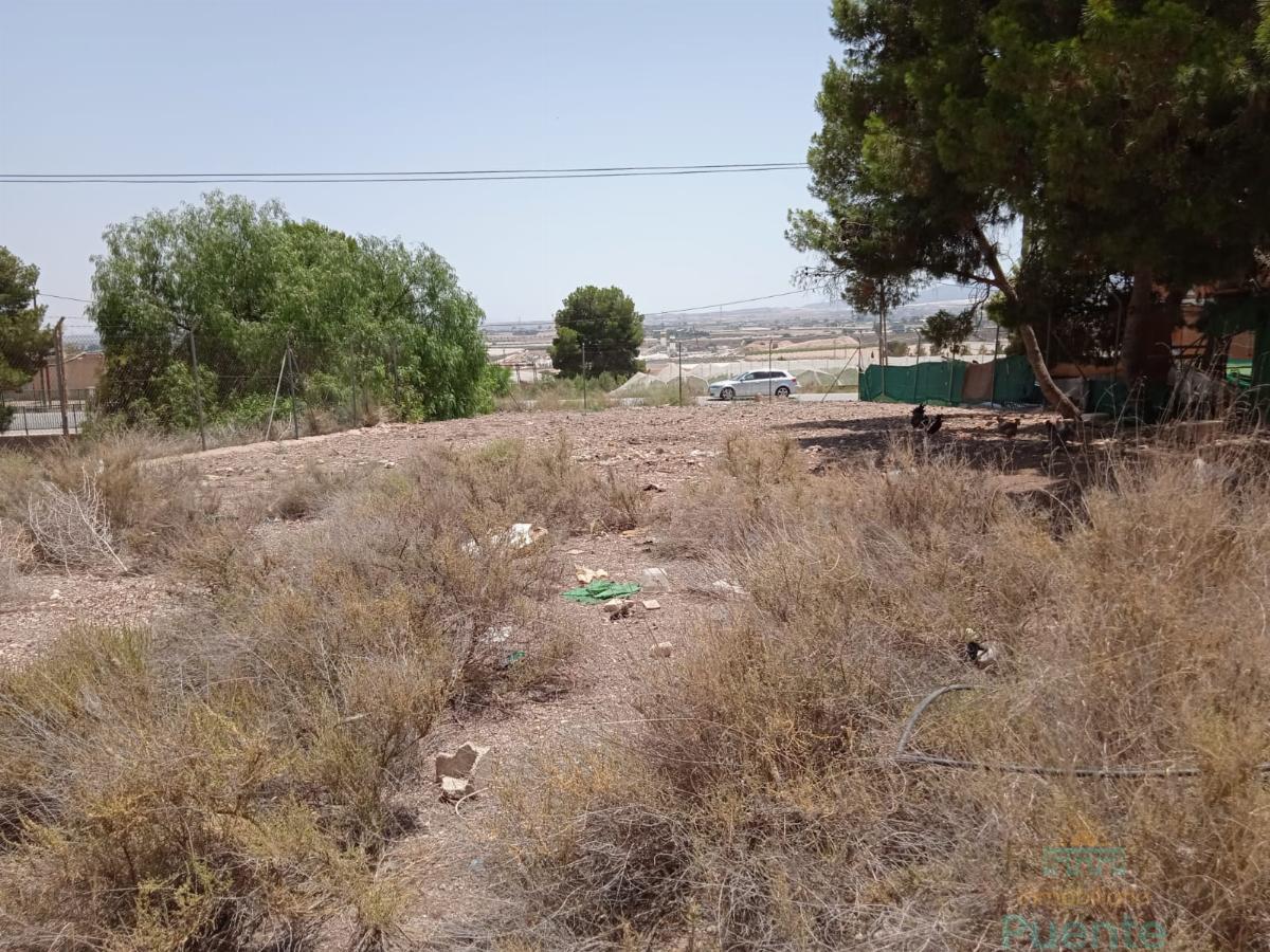For sale of industrial plant/warehouse in Totana