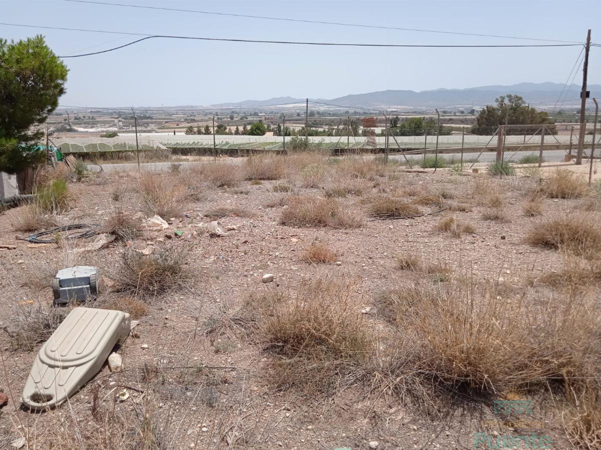 For sale of industrial plant/warehouse in Totana
