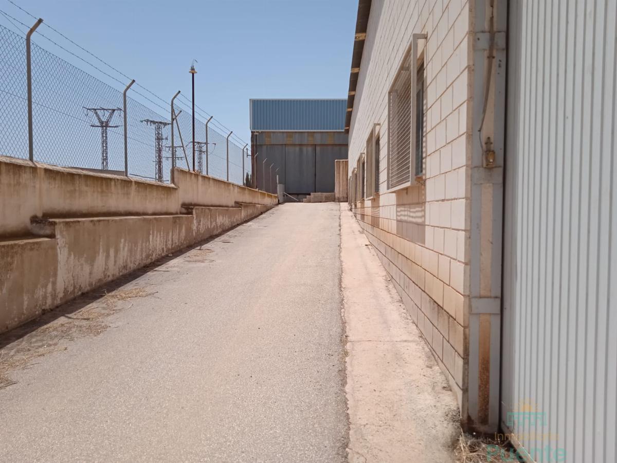 For sale of industrial plant/warehouse in Totana