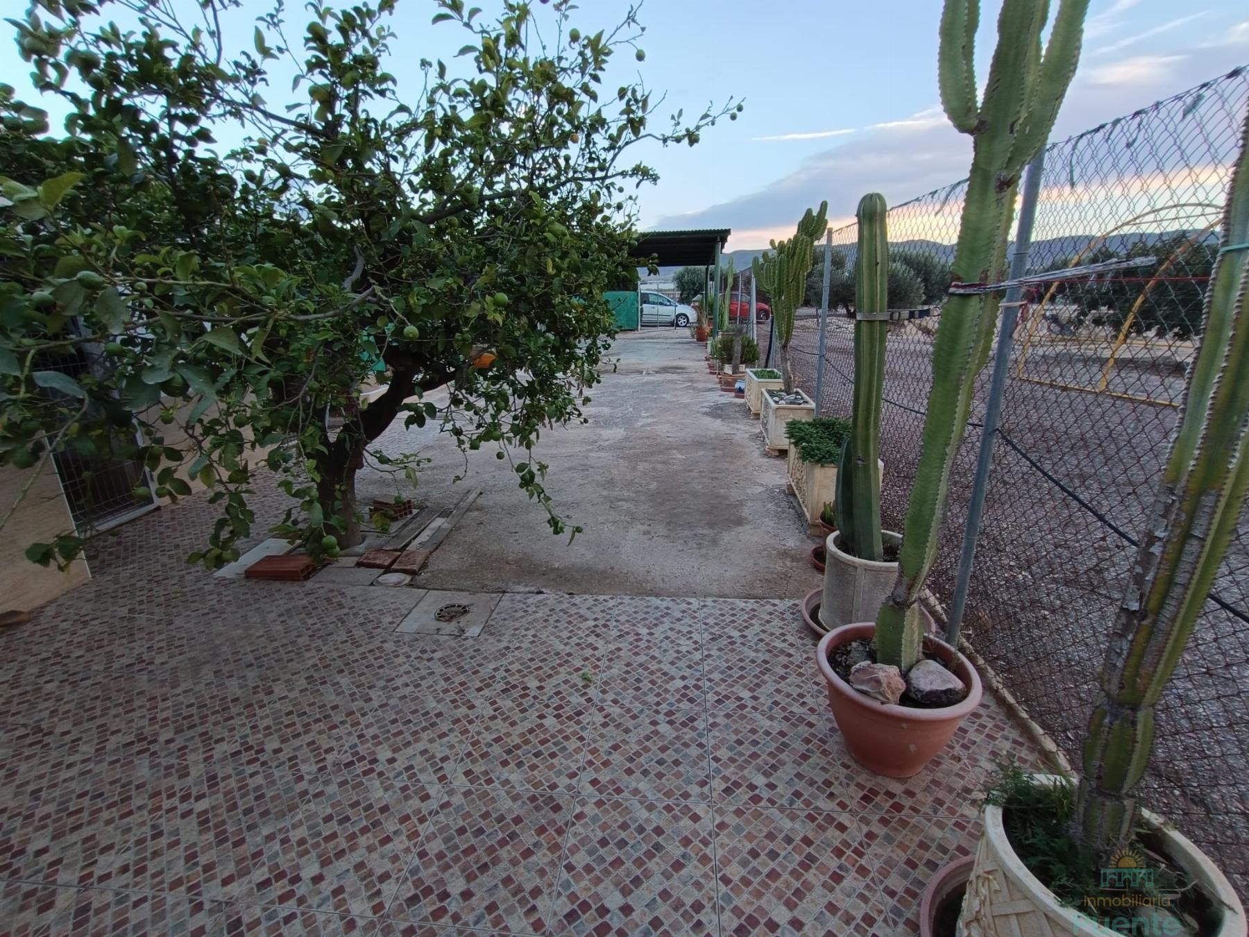 For sale of house in Totana