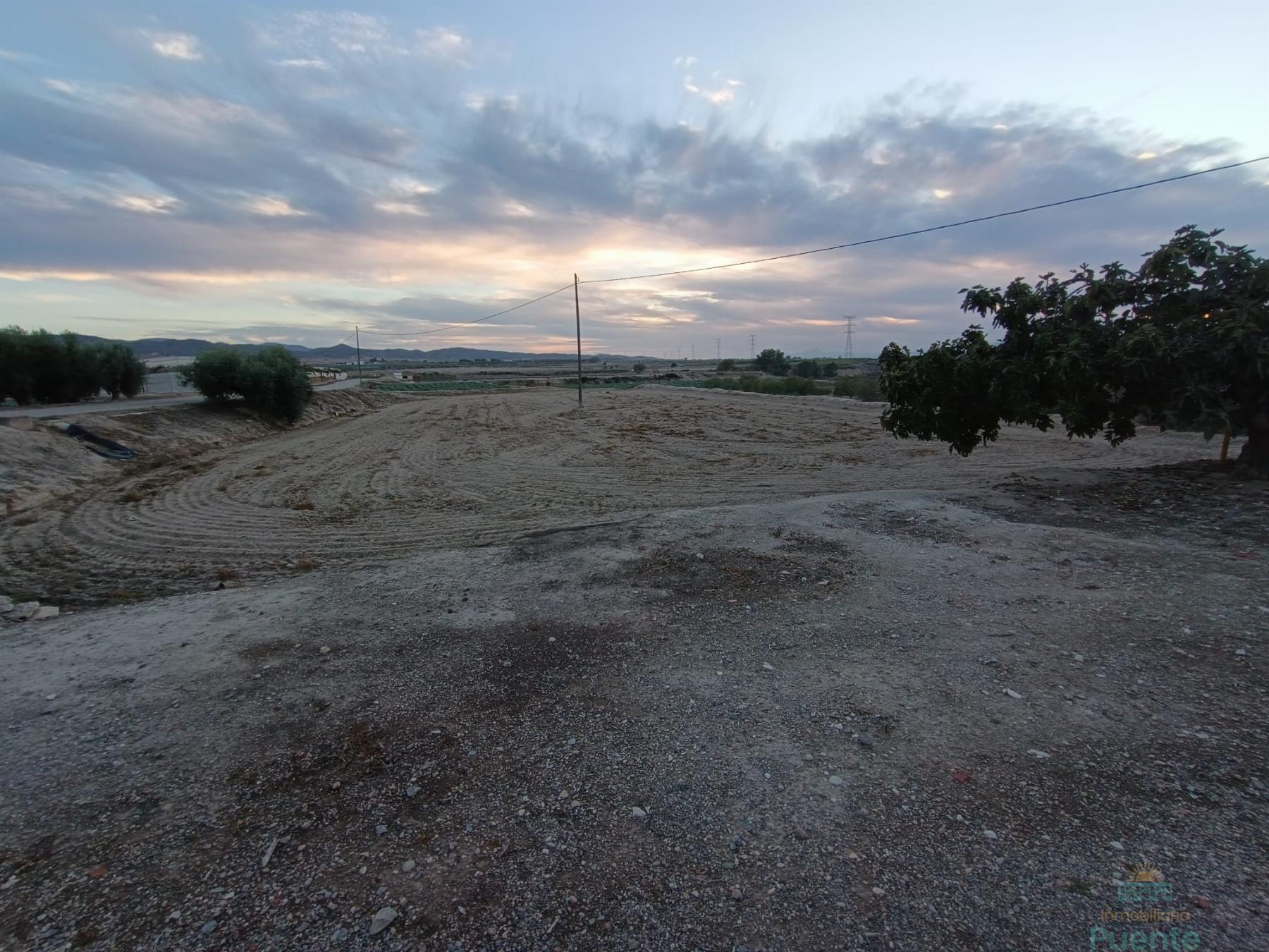 For sale of house in Totana