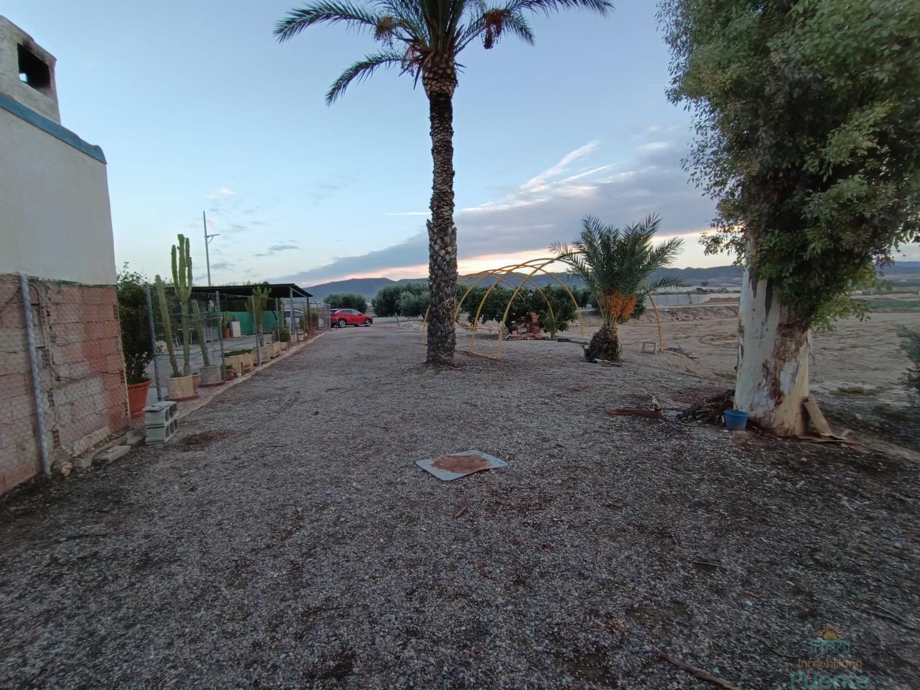 For sale of house in Totana