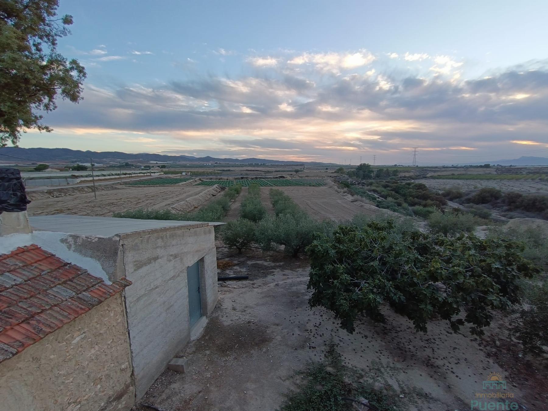 For sale of house in Totana