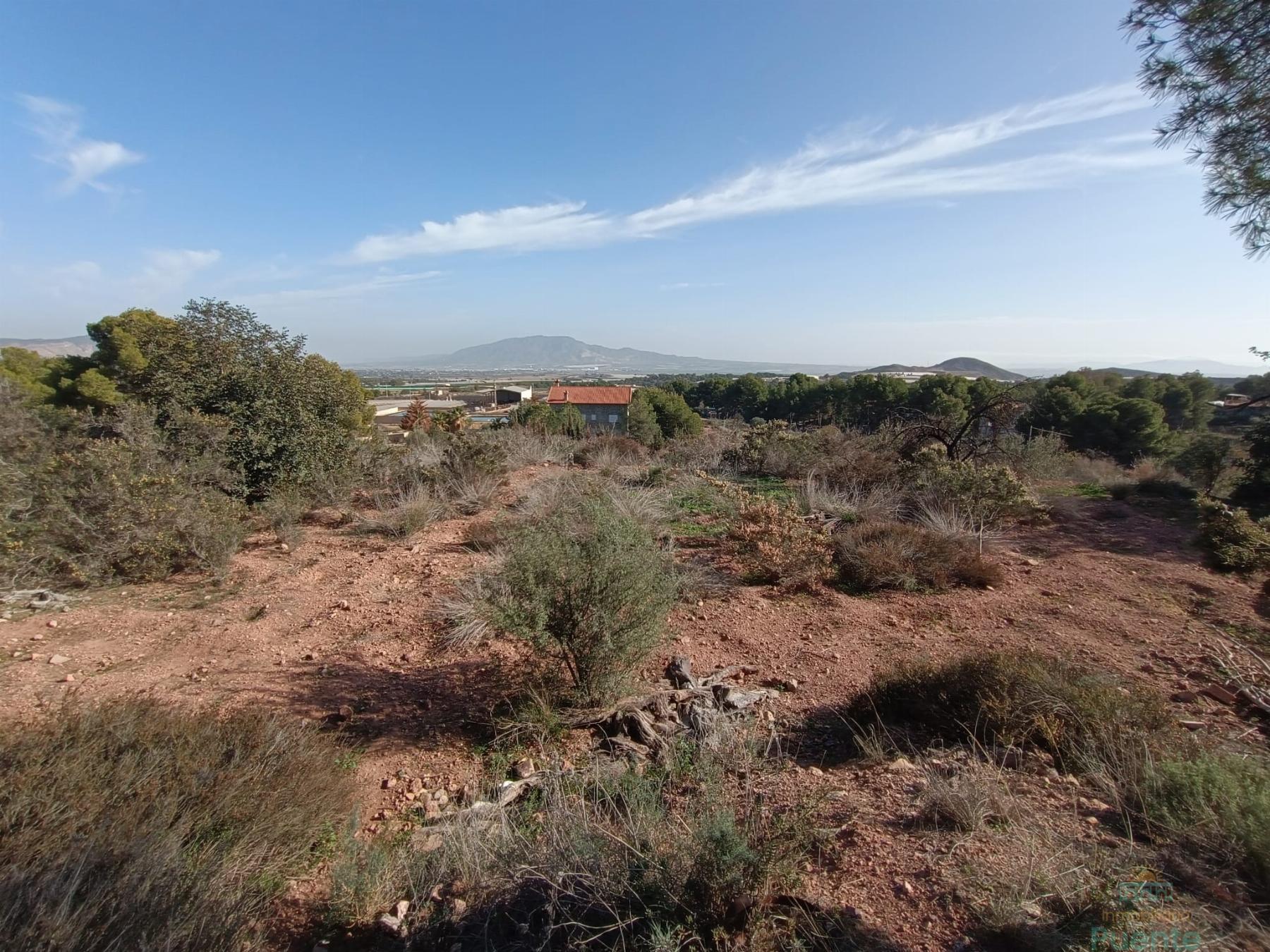 For sale of house in Totana