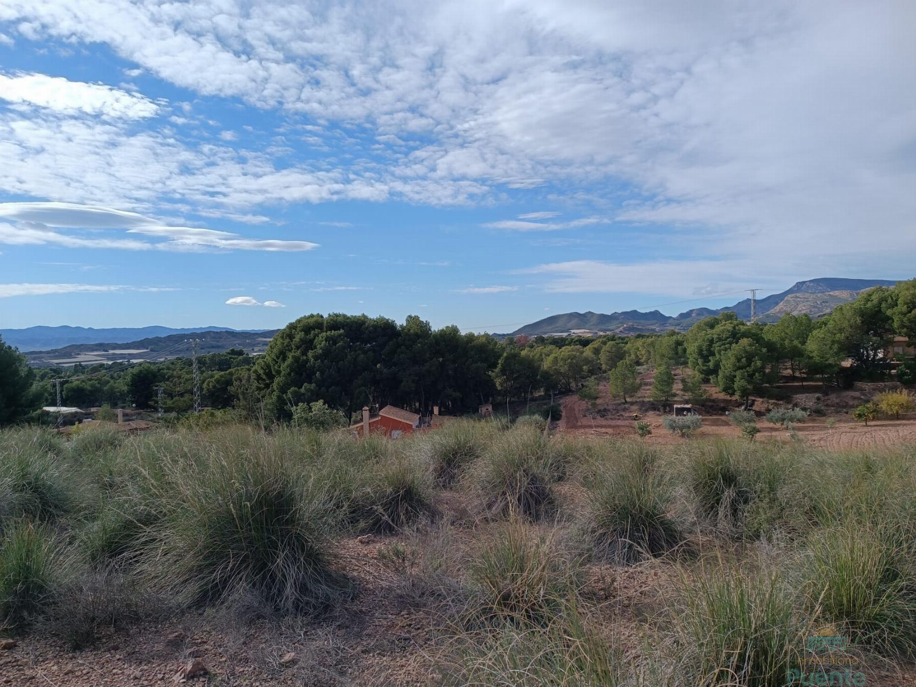 For sale of land in Totana