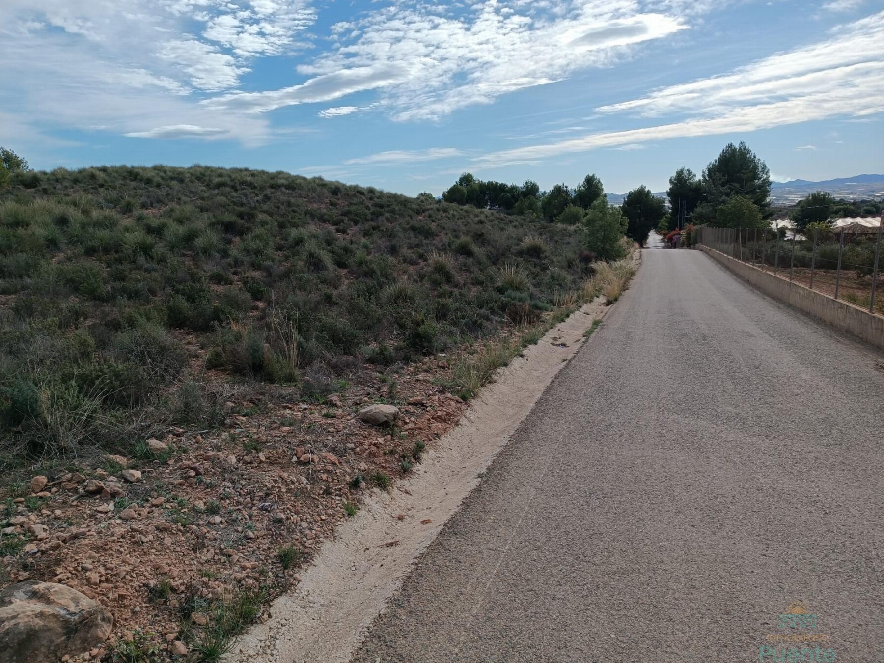 For sale of land in Totana