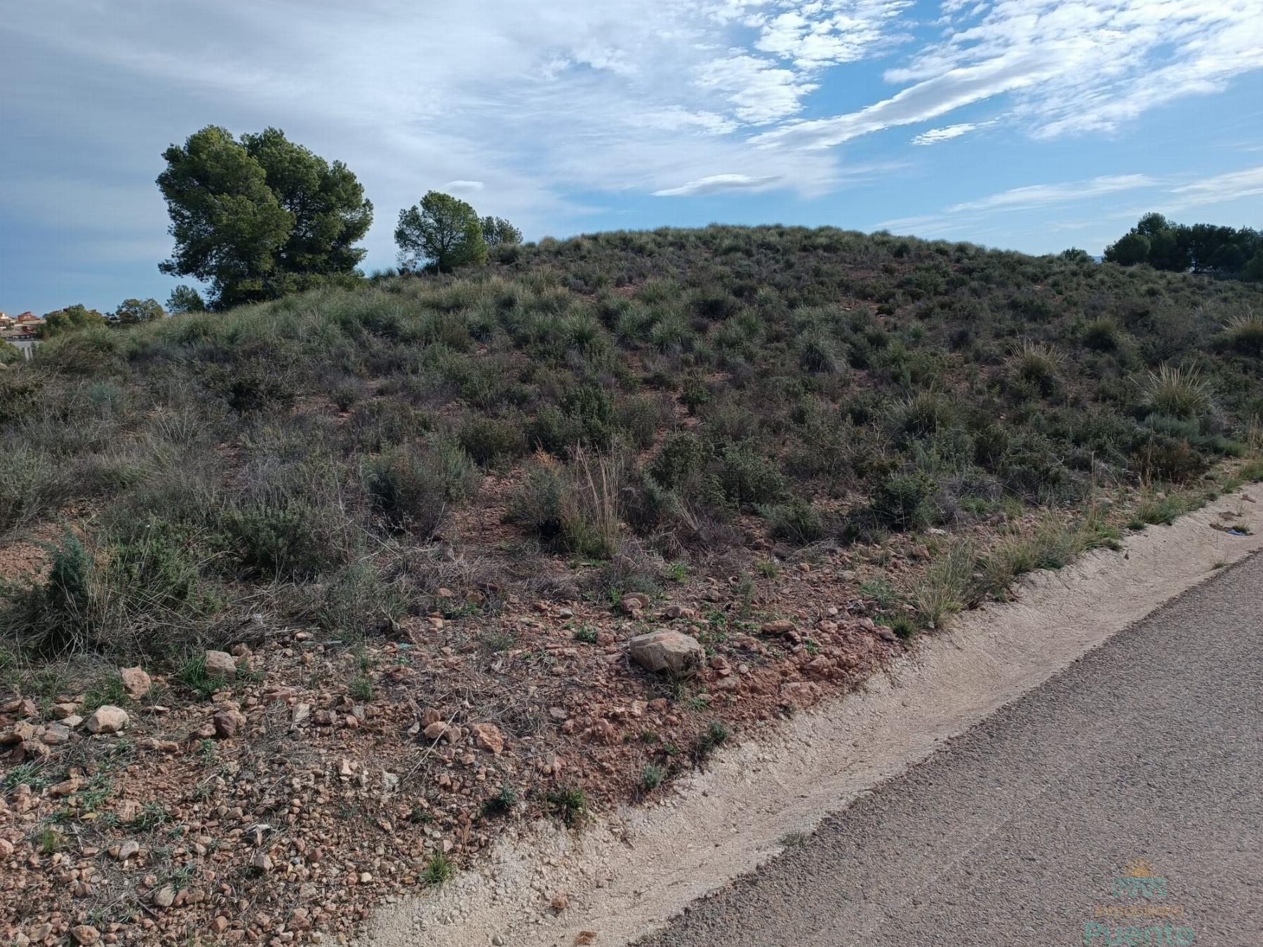 For sale of land in Totana