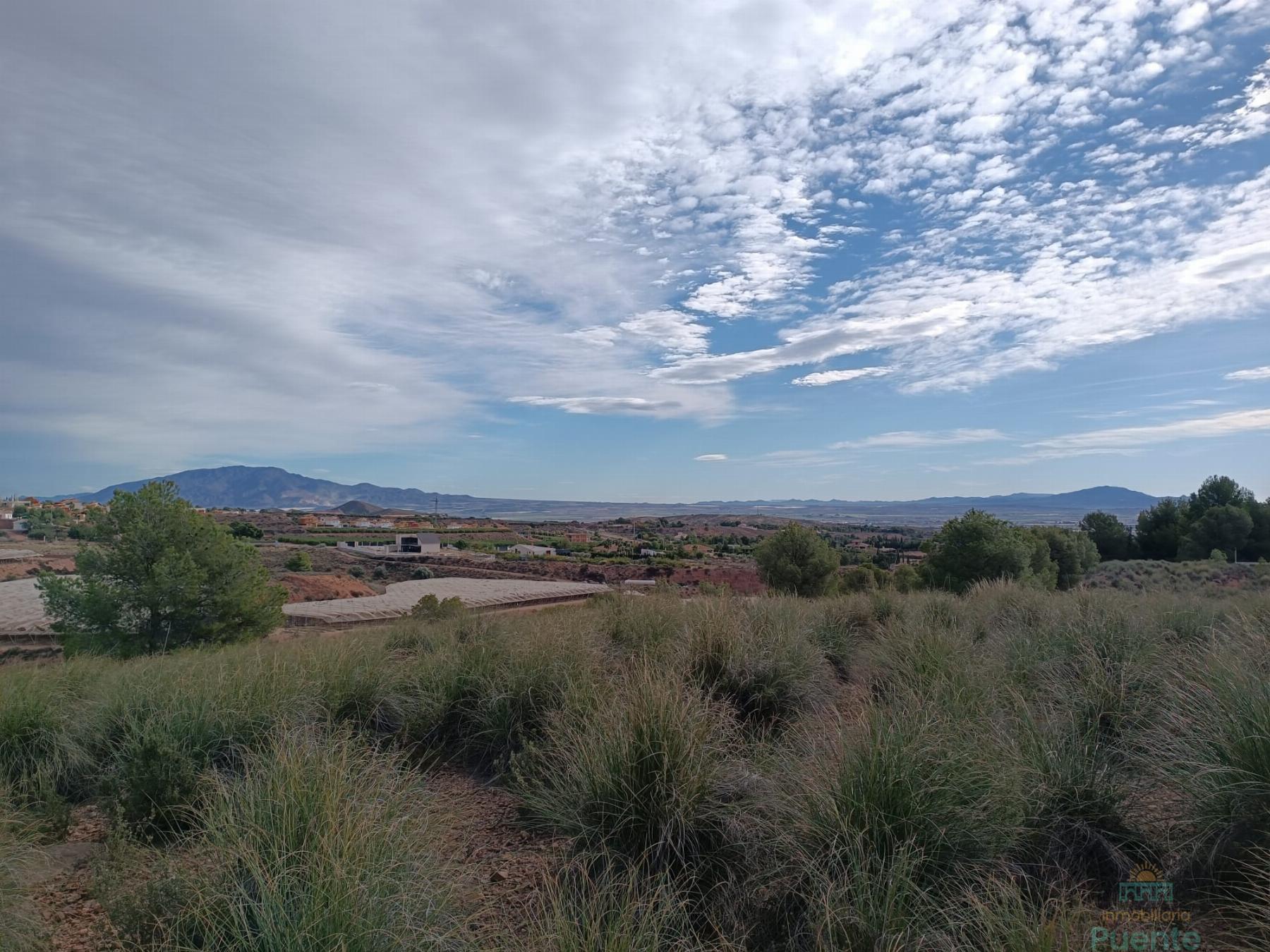 For sale of land in Totana