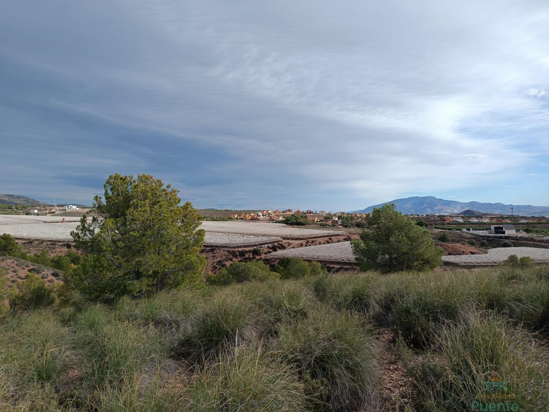 For sale of land in Totana