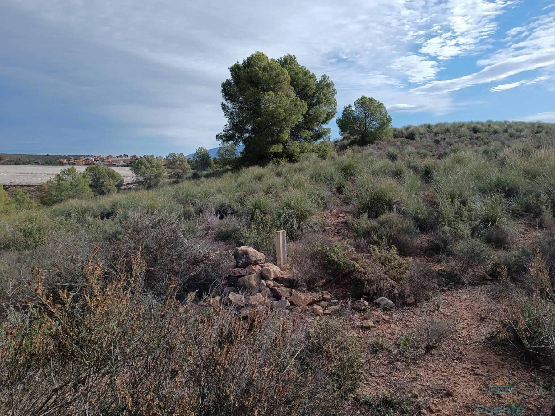 For sale of land in Totana