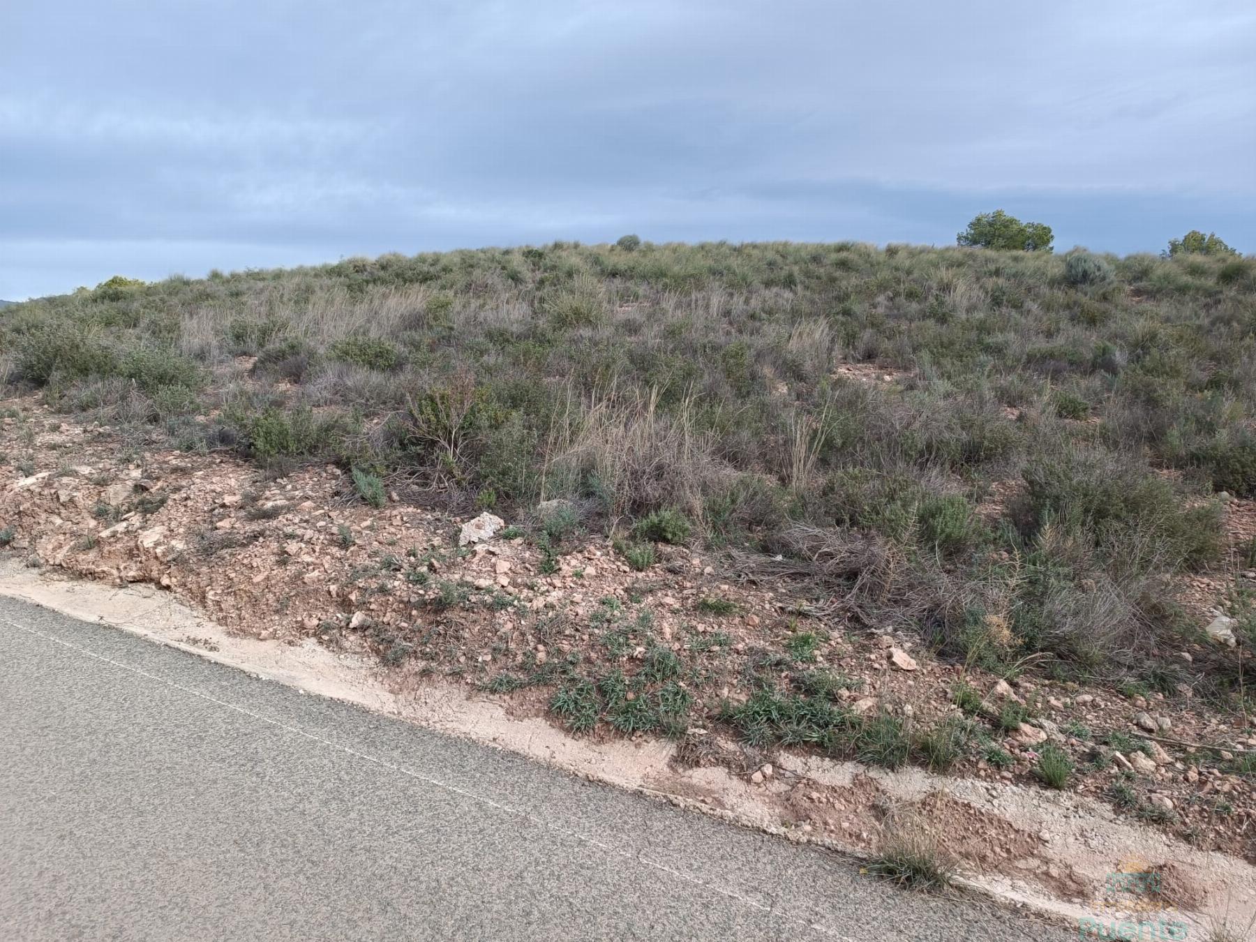 For sale of land in Totana