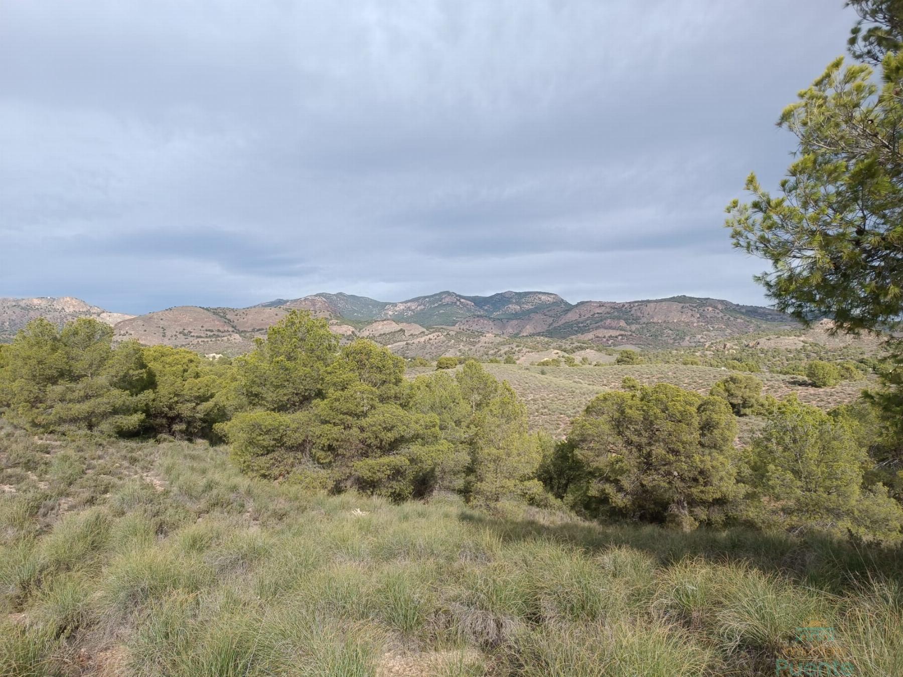 For sale of land in Totana