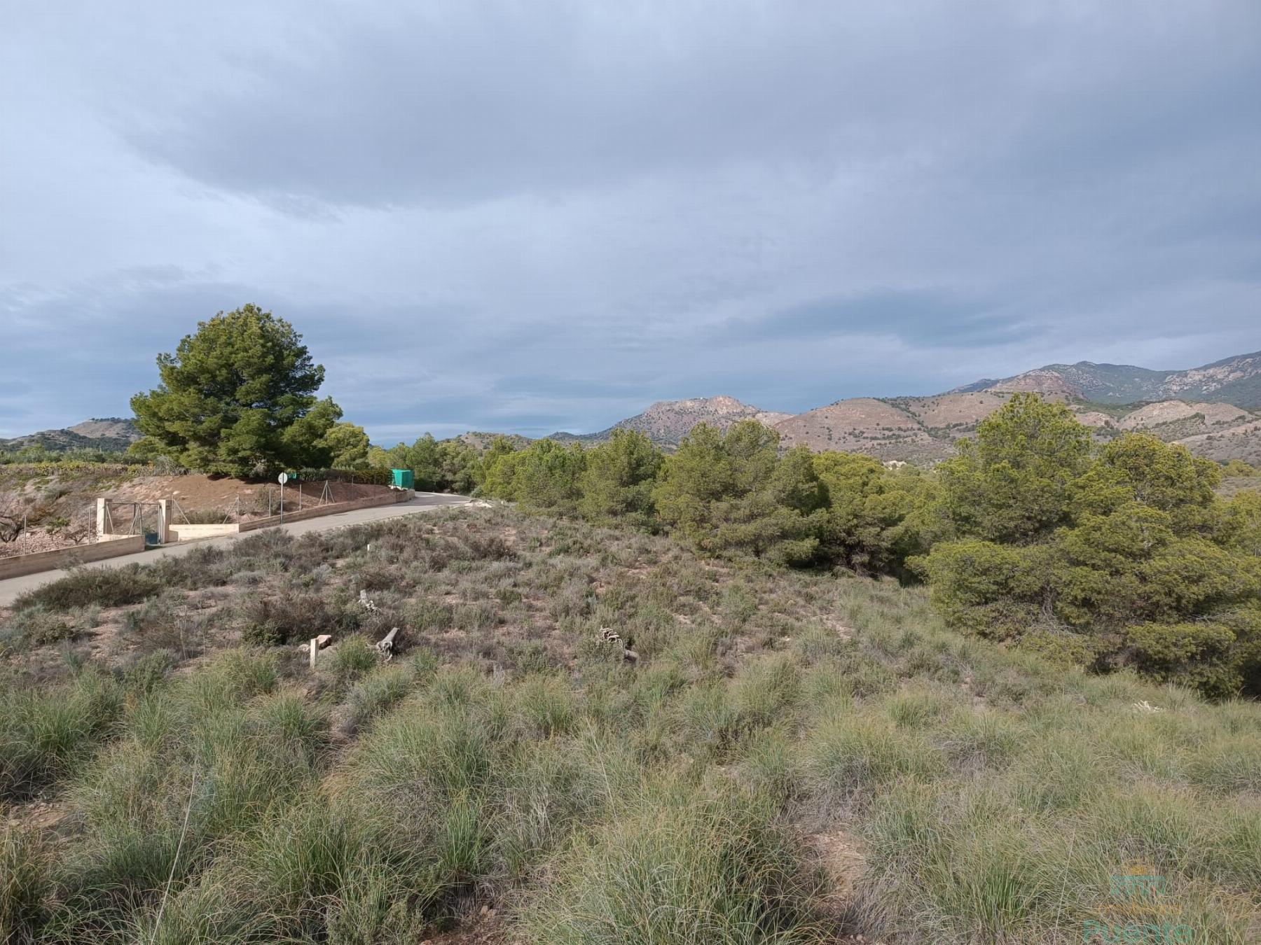 For sale of land in Totana