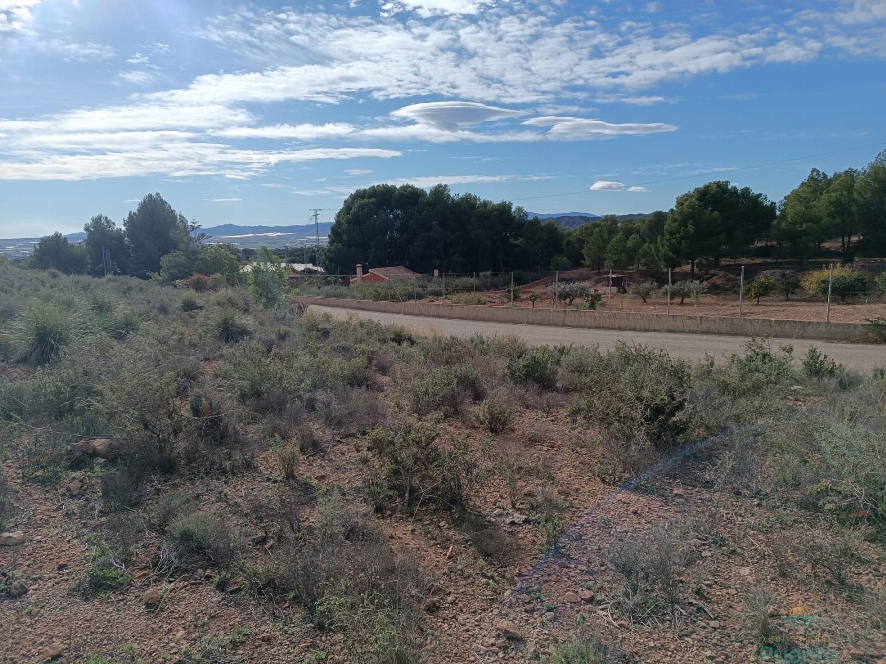 For sale of land in Totana