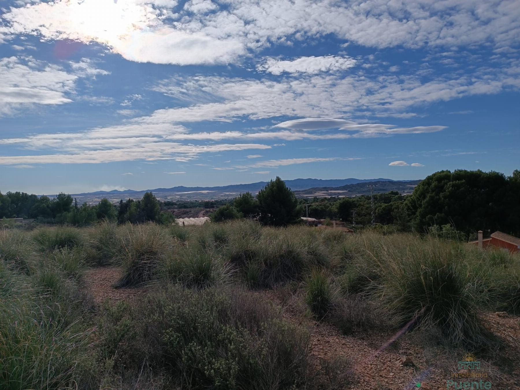 For sale of land in Totana