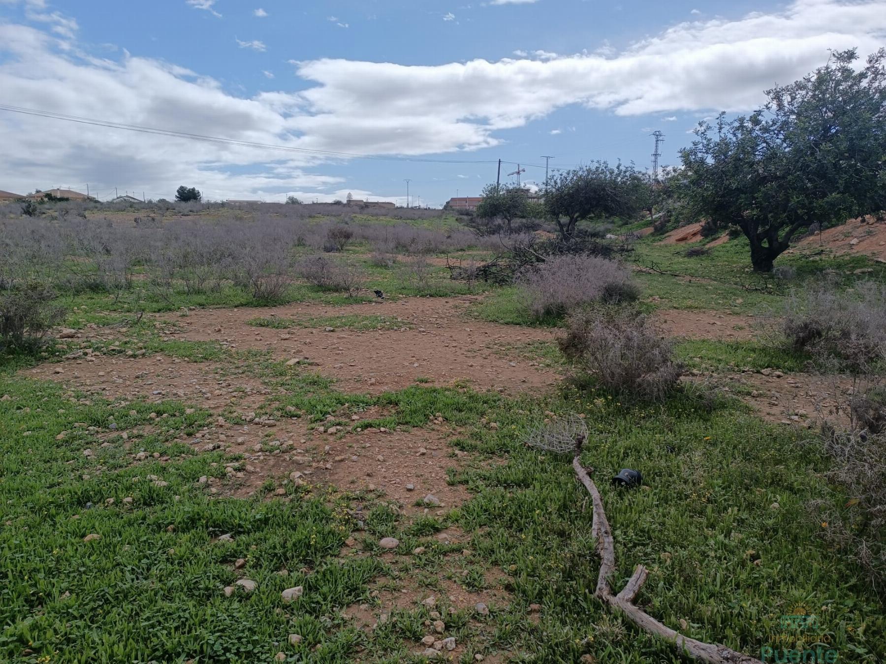 Venta de terreno en Totana