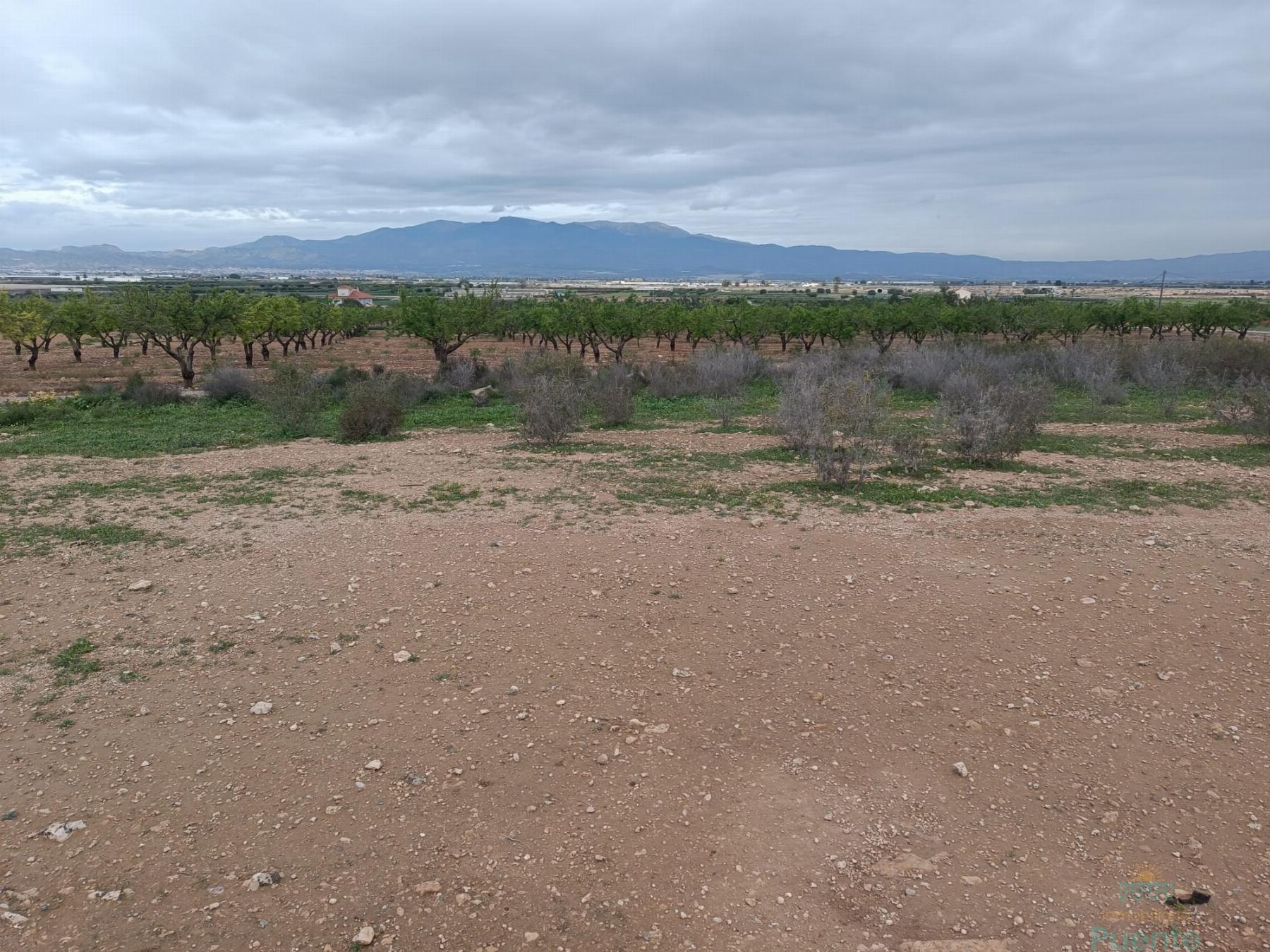 Venta de terreno en Totana